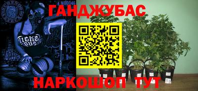 скорость Шебекино