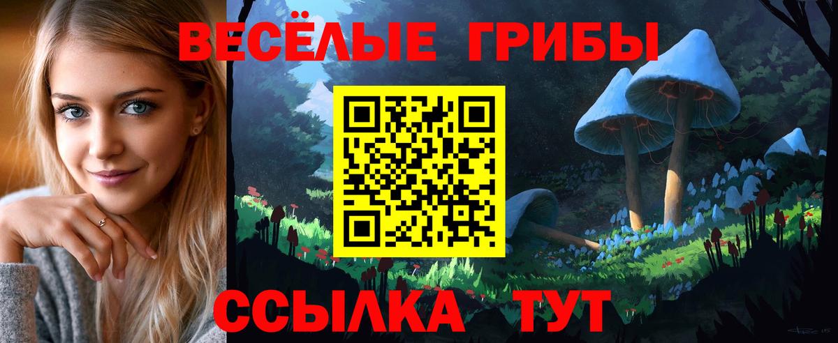 Луга  Псилоцибиновые грибы Psilocybe  Вход с VPN 