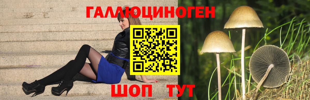Псилоцибиновые грибы прущие грибы Луга